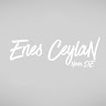 Enes ceylan teknik direktör profil fotoğrafı